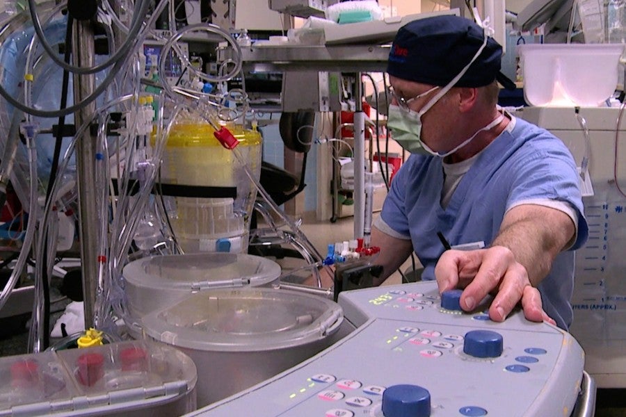 Lipscomb Health establishes new program in perfusion sciences